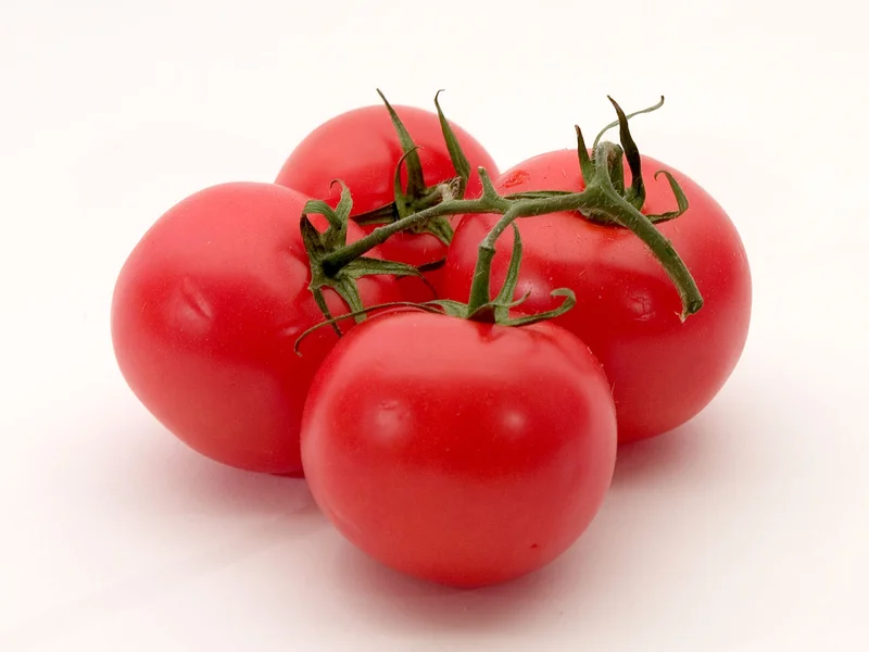 Cherry Tomato growing in a UK garden